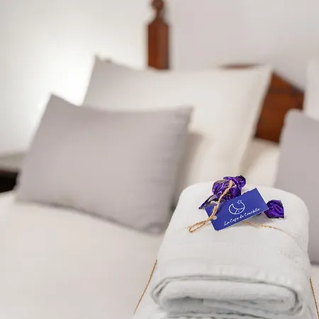 別荘 La Casita De Conchita アデヘ
